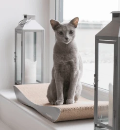 Griffoir En Carton Pour Chat Design TOBI 15 Griffoir En Carton Pour Chat Design TOBI -Chats Chiens Fournitures Magasin eng pl Scratcher TOBI grey 74 9