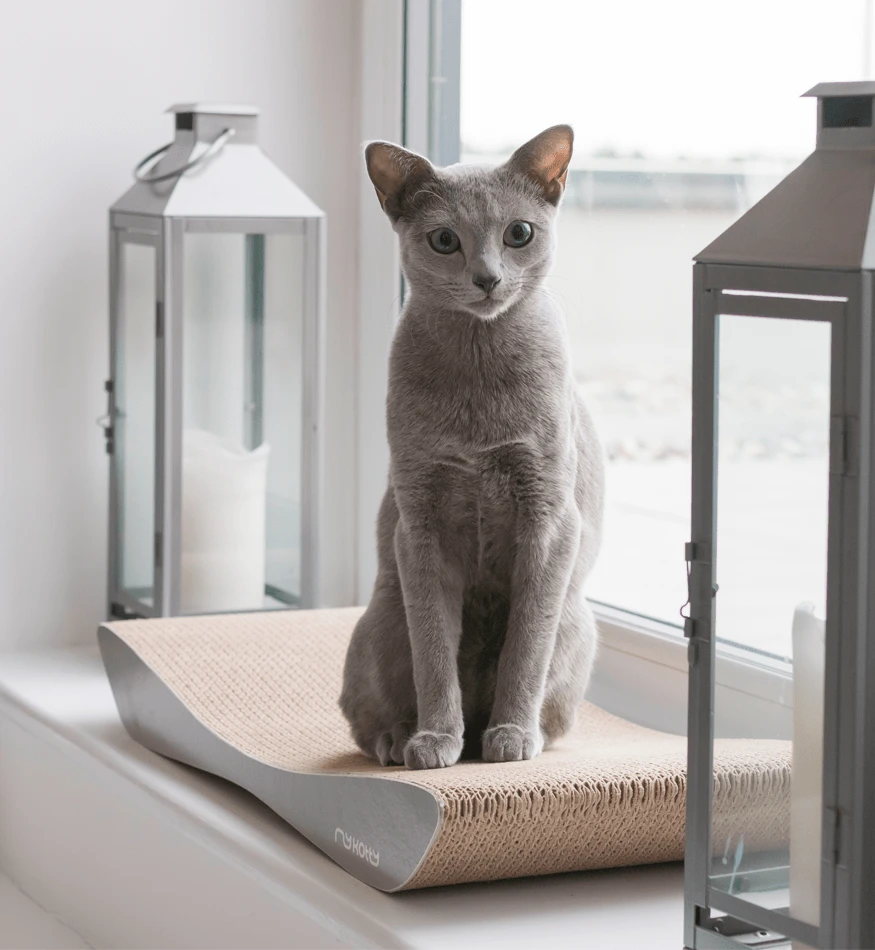 Griffoir En Carton Pour Chat Design TOBI 8 Griffoir En Carton Pour Chat Design TOBI – Image 8