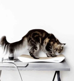 Griffoir En Carton Pour Chat Design TOBI 13 Griffoir En Carton Pour Chat Design TOBI -Chats Chiens Fournitures Magasin eng pl Scratcher TOBI white 19 7