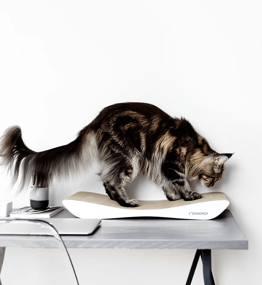 Griffoir En Carton Pour Chat Design TOBI 6 Griffoir En Carton Pour Chat Design TOBI – Image 6