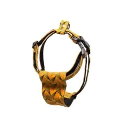 Harnais Pour Chien Fireworks 4 Harnais Pour Chien Fireworks -Chats Chiens Fournitures Magasin fireworks harness hiro and wolf 0202 web 2048x 241011c4 9d1e 4006 b8ae ec1cb7177cca