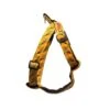 Harnais Pour Chien Fireworks