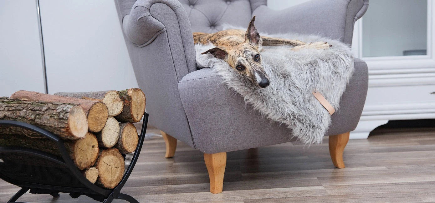 Couverture En Fausse Fourrure Fora 2 Couverture En Fausse Fourrure Fora – Image 2