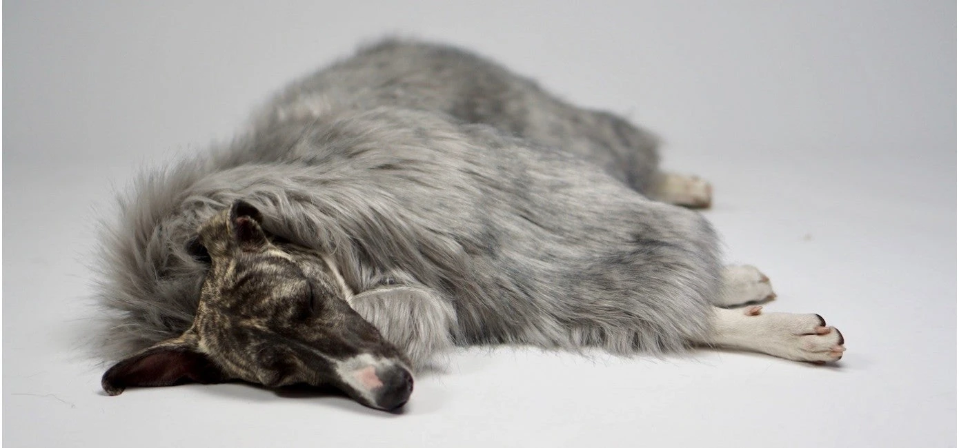 Couverture En Fausse Fourrure Fora 3 Couverture En Fausse Fourrure Fora – Image 3