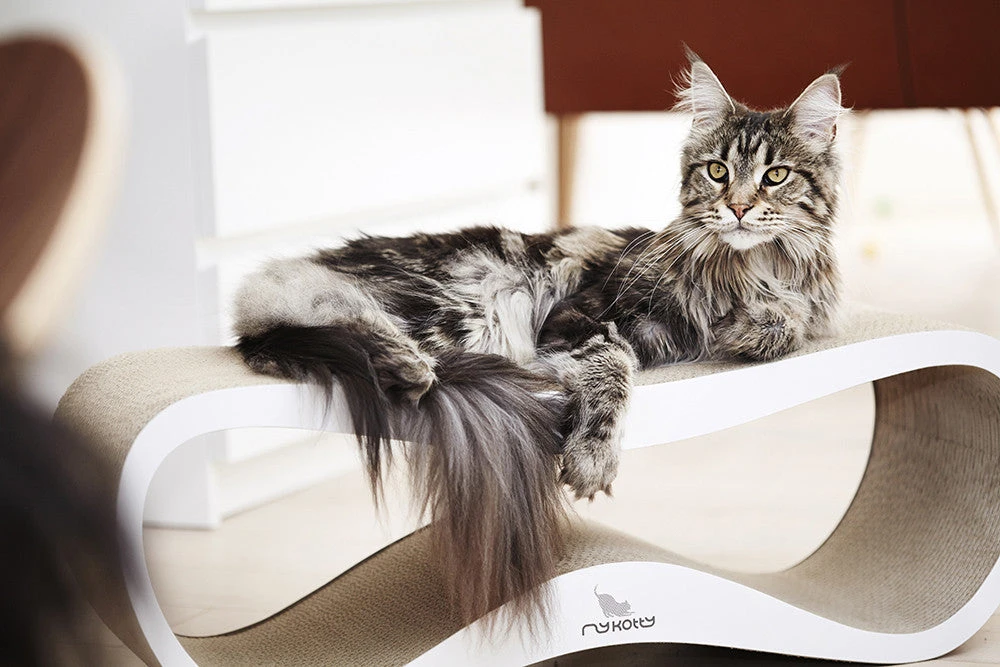 Griffoir Pour Chat Design LUI My Kotty 7 Griffoir Pour Chat Design LUI My Kotty – Image 7