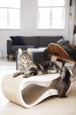 Griffoir Pour Chat Design LUI My Kotty 19 Griffoir Pour Chat Design LUI My Kotty -Chats Chiens Fournitures Magasin fuji oti 24 1