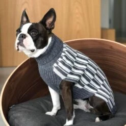Pull Pour Chien Giulia -Chats Chiens Fournitures Magasin giulia grey life 1024x f7070200 1947 4996 b7bd dbb8e7167074