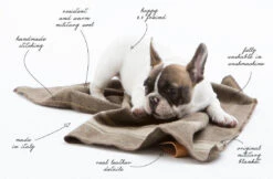 Couverture En Laine Recyclée Ansel Duepuntootto -Chats Chiens Fournitures Magasin grafiche con scritte 16 orig