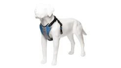 Harnais De Running Pour Chien -Chats Chiens Fournitures Magasin harness blue 3 4 720x b90d0fc6 6902 47b9 82de 4d733c20e99a