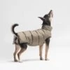Manteau Pour Petit Chien