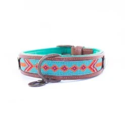 Collier En Cuir Paddy Lee Dwam -Chats Chiens Fournitures Magasin image 25f4a0f4 395c 4cab 92f9 670161407bd8