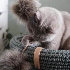 Jouet Pour Chat Tollo -Chats Chiens Fournitures Magasin image 390ffe04 6310 4eb9 aaa9 b04f80768e5b