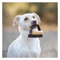 Brosse Pour Poils Courts Lila Loves It 12 Brosse Pour Poils Courts Lila Loves It -Chats Chiens Fournitures Magasin image 3b0cdc38 ad07 4ef0 991c 0d279b6b653c