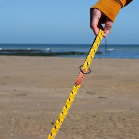 Laisse Fireworks 2 Laisse Fireworks – Image 2