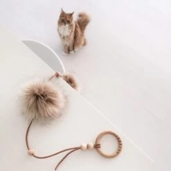 Jouet Pour Chat Musse -Chats Chiens Fournitures Magasin image 8fa99005 9fd3 4e8b aa78 99048da9157c