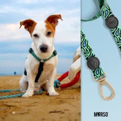 Harnais En H Pour Chien Rage Labyrinth -Chats Chiens Fournitures Magasin image af697aea d338 40d3 8ab0 6fca5a1dfbe2