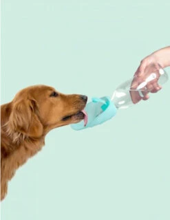 Gourde Pour Chien Avec Distributeur D’eau -Chats Chiens Fournitures Magasin image da096c9f e155 4014 a19b 6373ed4b7a8d