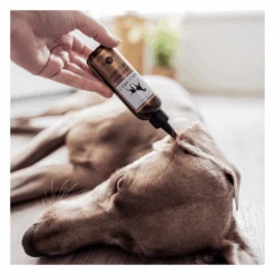 Soin Nettoyant Oreilles Pour Chien Et Chat -Chats Chiens Fournitures Magasin image e04bc068 89ef 47db ac6a 06c83cef2bfc