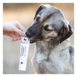 Dentifrice Naturel Pour Chien Et Chat -Chats Chiens Fournitures Magasin image ee74d3ba 367b 4988 9f23 101814c9767e