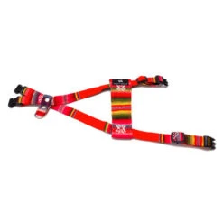 Harnais Pour Chien Inca Orange 6 Harnais Pour Chien Inca Orange -Chats Chiens Fournitures Magasin inca orange dog harness flat web 450x450 13caefbf 053c 44cf b33d 7a0ff0d3ec19