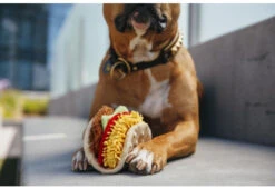 PLAY Peluche Tacos Pour Chien Collection International Classic 8 PLAY Peluche Tacos Pour Chien Collection International Classic -Chats Chiens Fournitures Magasin international classic toy collection by p.l.a.y. tail wagging taco