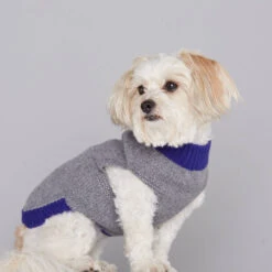 Pull En Laine Pour Chien Mark -Chats Chiens Fournitures Magasin jersey mark r gris