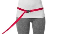 Laisse Souple Everyday (3 Couleurs) -Chats Chiens Fournitures Magasin laisse