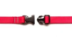 Laisse Souple Everyday (3 Couleurs) -Chats Chiens Fournitures Magasin laisse2