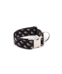 Collier Pour Chien Brugues