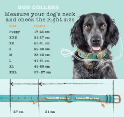 Collier En Cuir Paddy Lee Dwam -Chats Chiens Fournitures Magasin maattabel collars en cm