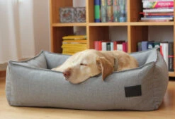 Panier Pour Chien Nube -Chats Chiens Fournitures Magasin mc 17062 beds boxbed nube saltpepper m cara