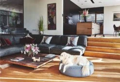 Pouf Pour Chien Stella -Chats Chiens Fournitures Magasin mc c01 015 02 ml sleep stella pouffe slate fly 132