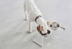 Double écuelle Design Pour Chien Cena -Chats Chiens Fournitures Magasin mc c06 006 01 s eat cena stone duke 6 243