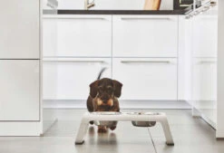 Double écuelle Surélevée Design Pour Chien Desco Bois -Chats Chiens Fournitures Magasin mc c06 007 02 m eat desco ash white simba 2205 2