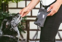 Sac à Récompenses Lupo Miacara -Chats Chiens Fournitures Magasin mc c13 006 01 accessories lupo snack bag graphite 6