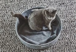 Panier Pour Chat Design Cesto -Chats Chiens Fournitures Magasin mc g02 008 01 sleep cesto concrete mia 1423 984