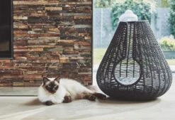 Maison Pour Chat Perla 7 Maison Pour Chat Perla -Chats Chiens Fournitures Magasin mc g02 010 02 sleep perla anthracite mio 343 984