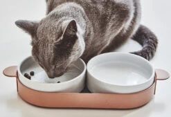 Bols Doubles Pour Chat Tavoletta 9 Bols Doubles Pour Chat Tavoletta -Chats Chiens Fournitures Magasin mc g06 010 02 eat tavoletta cat feeder nude mia 06 1