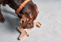 Jeu D'activité Volpe -Chats Chiens Fournitures Magasin mc volpe nude2