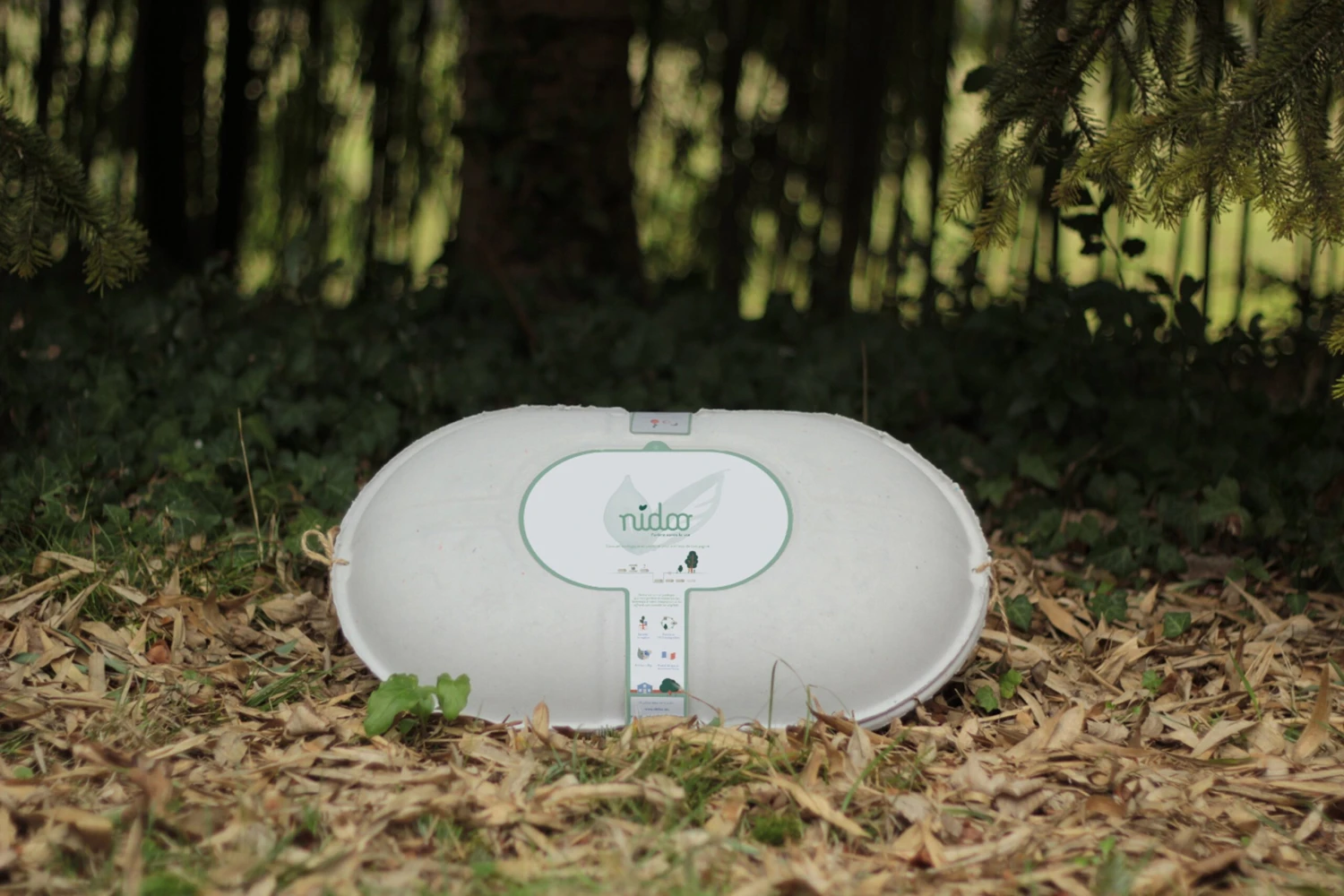 Nidoo, L'arbre Après La Vie 8 Nidoo, L'arbre Après La Vie – Image 8