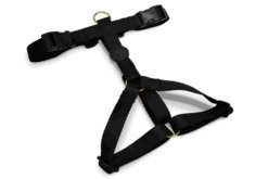 Harnais En H Pour Chien Caviar