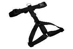 Harnais En H Pour Chien Caviar -Chats Chiens Fournitures Magasin pettorina h pureness header top transparent 03