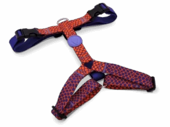 Harnais En H Pour Chien Urban Lizard