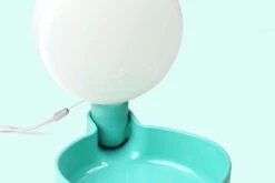 Gourde Pour Chien Avec Bol D’eau -Chats Chiens Fournitures Magasin plus pingui aq