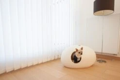 Litière Ou Niche Design Pour Chat Poopoopeedo -Chats Chiens Fournitures Magasin poopoopeedoo blanc chien