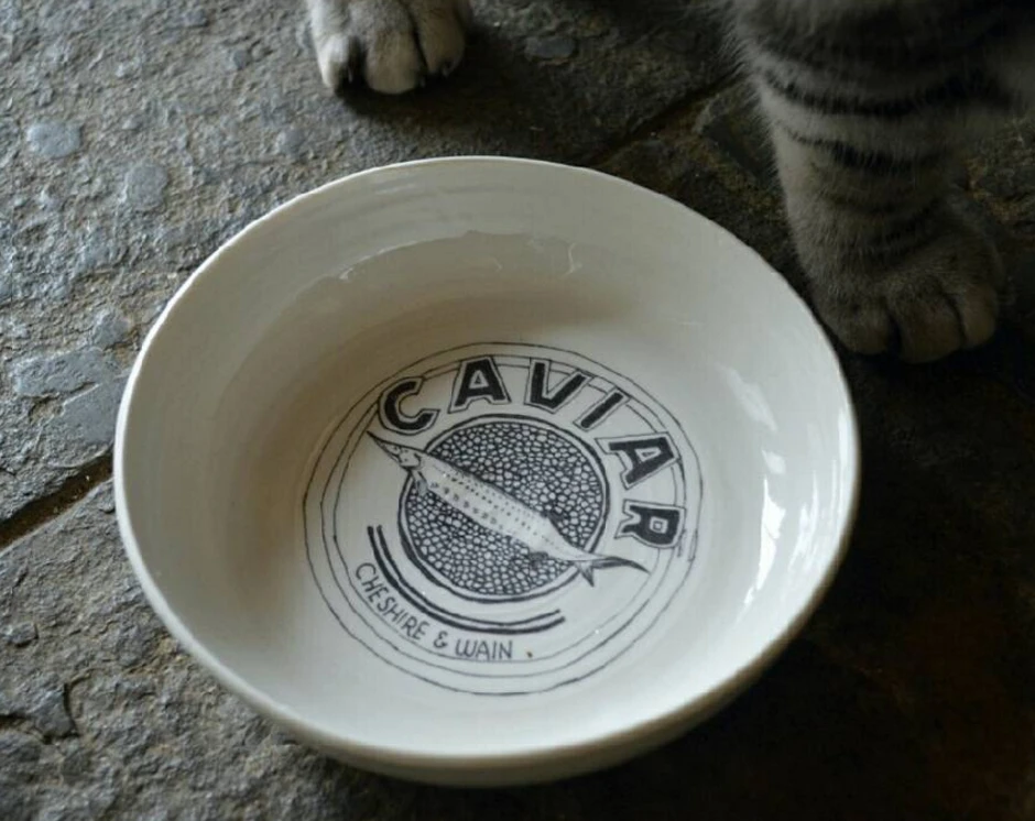 Bol En Céramique Pour Chat "caviar" 2 Bol En Céramique Pour Chat "caviar" – Image 2