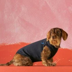 Body Pour Chien Josef -Chats Chiens Fournitures Magasin prod 02