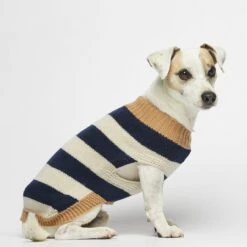Pull Pour Chien En Laine Anni