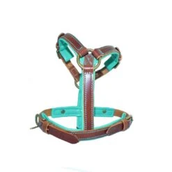 Harnais En Cuir Turquoise Rock Dog Dwam -Chats Chiens Fournitures Magasin rock dog harness xxs 6047 en G