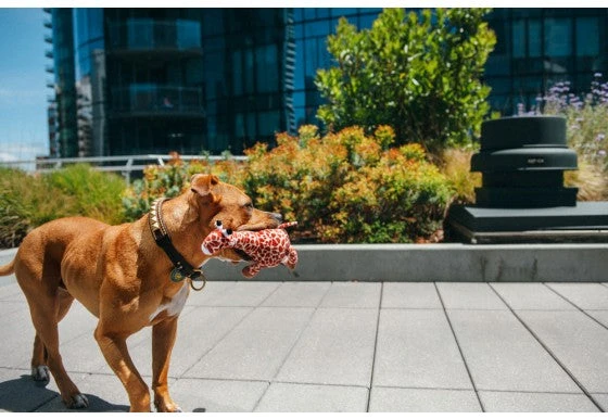 PLAY Peluche Gabi La Girafe Collection Safari 2 PLAY Peluche Gabi La Girafe Collection Safari – Image 2